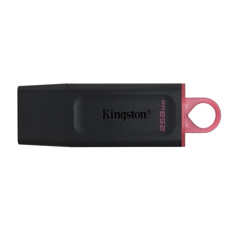 Kingston DTX Memoria USB 256 Gb. Negro