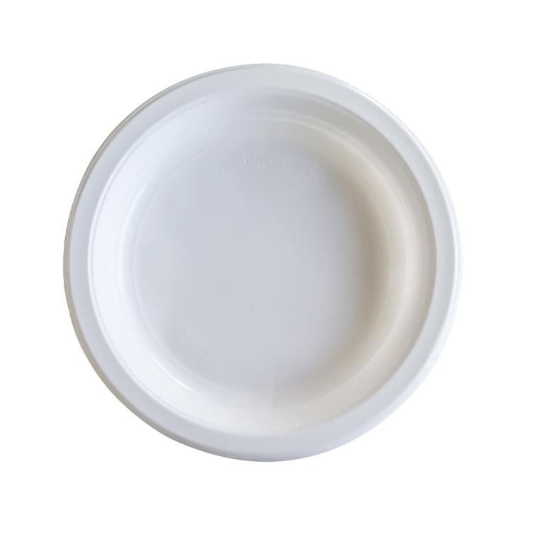 Plato Reutilizable Llano 22Cm /25U