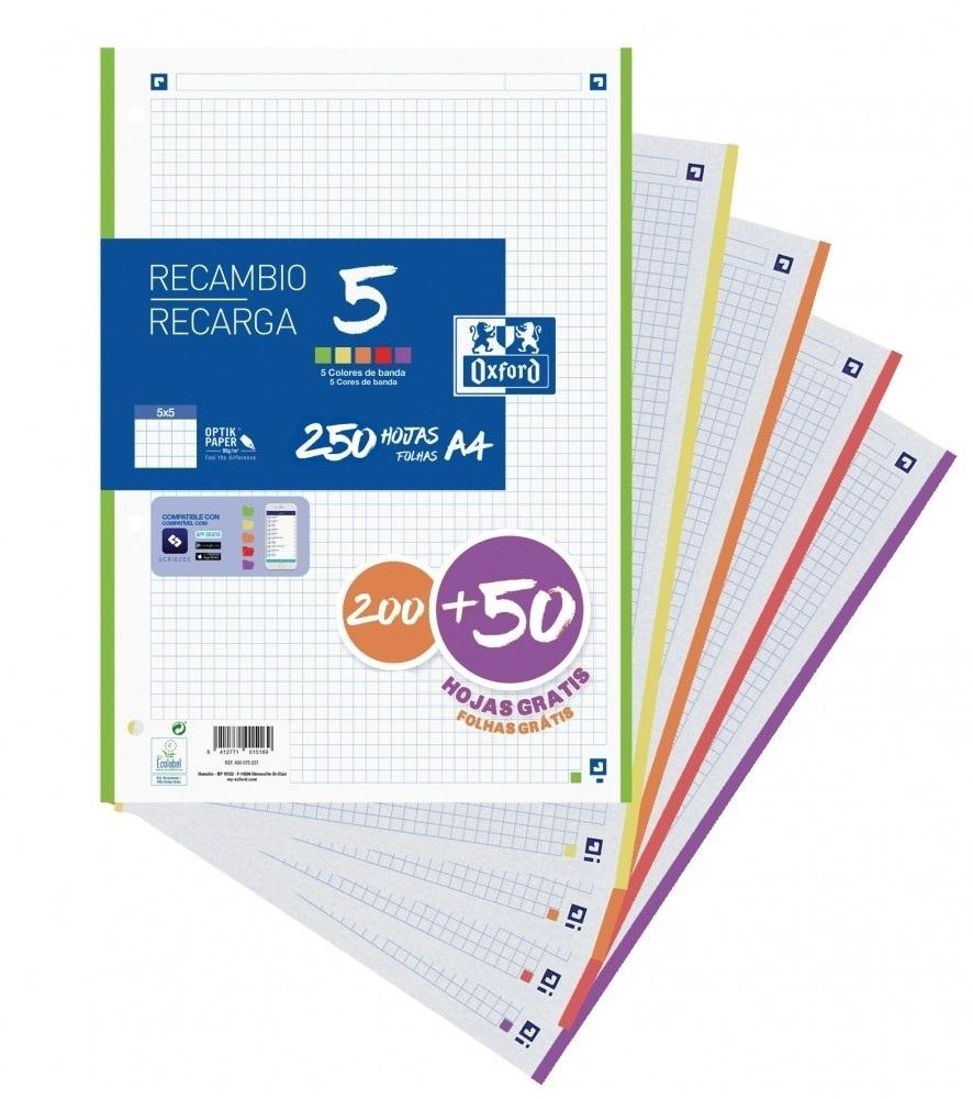 Oxford Recambio Hojas A4 Cuadrícula 5mm 4 Taladros 250 Hojas 90g Bandas 5 Colores Vivos